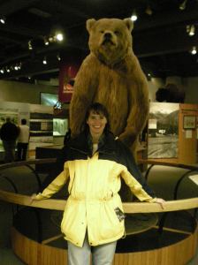 Otto, the bear at the Museum of the North